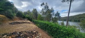 Enlarge photo 501