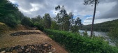 Enlarge photo 503