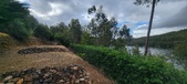 Enlarge photo 507