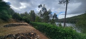Enlarge photo 506