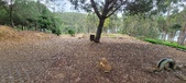 Enlarge photo 505