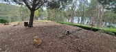 Enlarge photo 504