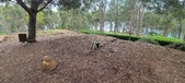 Enlarge photo 508