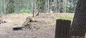 Enlarge photo 509