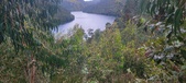 Enlarge photo 519