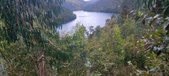 Enlarge photo 518