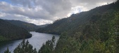Enlarge photo 530