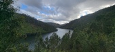 Enlarge photo 533