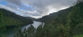 Enlarge photo 534
