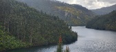 Enlarge photo 536
