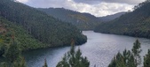 Enlarge photo 537