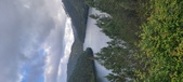 Enlarge photo 539