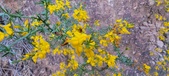 Enlarge photo 542