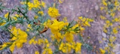 Enlarge photo 543