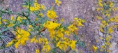 Enlarge photo 544