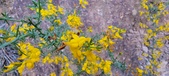 Enlarge photo 545