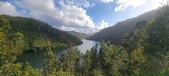 Enlarge photo 551