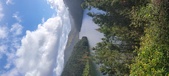 Enlarge photo 553