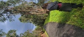 Enlarge photo 556