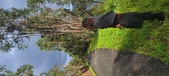 Enlarge photo 559