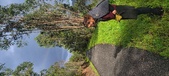 Enlarge photo 560