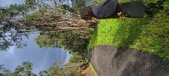 Enlarge photo 562