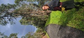 Enlarge photo 564