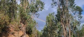 Enlarge photo 571