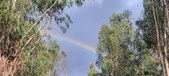 Enlarge photo 572