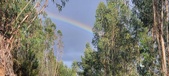 Enlarge photo 573