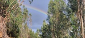 Enlarge photo 574