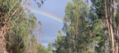 Enlarge photo 576