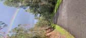 Enlarge photo 577