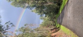 Enlarge photo 578