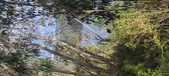 Enlarge photo 579