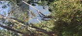 Enlarge photo 582