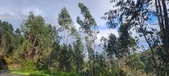 Enlarge photo 583