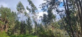 Enlarge photo 584