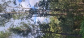Enlarge photo 585