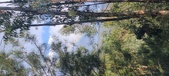 Enlarge photo 589