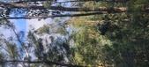 Enlarge photo 590