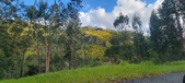 Enlarge photo 591