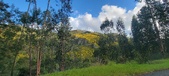 Enlarge photo 592