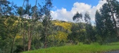 Enlarge photo 593