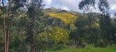 Enlarge photo 594