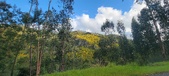 Enlarge photo 595