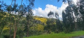 Enlarge photo 596