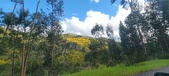 Enlarge photo 597