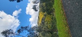 Enlarge photo 598