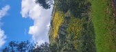 Enlarge photo 599